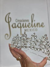 Cargar imagen en el visor de la galería, #18
